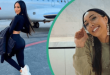 Scarlet Vas Net Worth