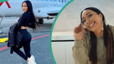 Scarlet Vas Net Worth